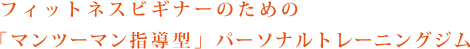 フィットネスビギナーのための「マンツーマン指導型」パーソナルトレーニング